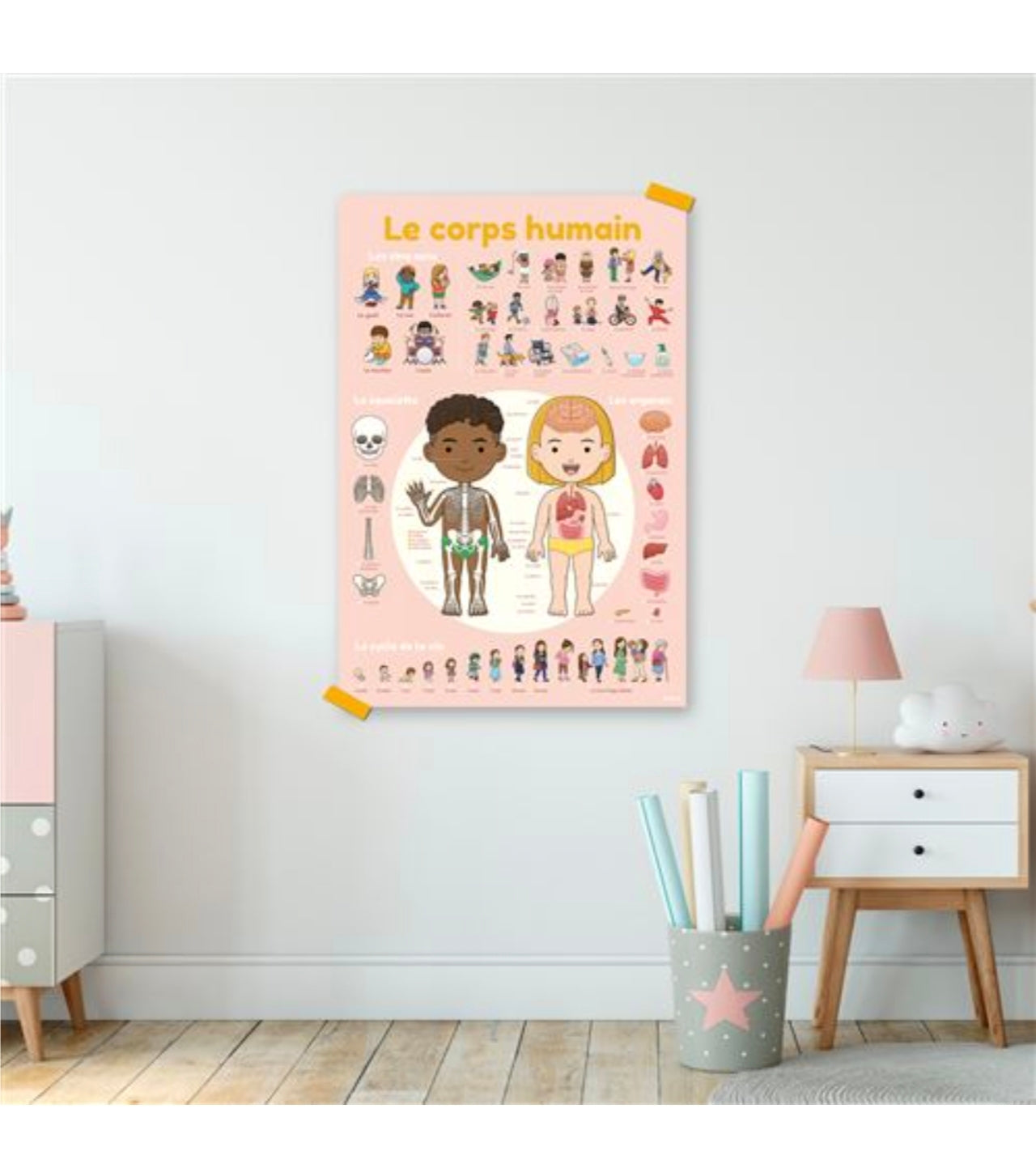 Poster et stickers - Corps Humain - Poppik