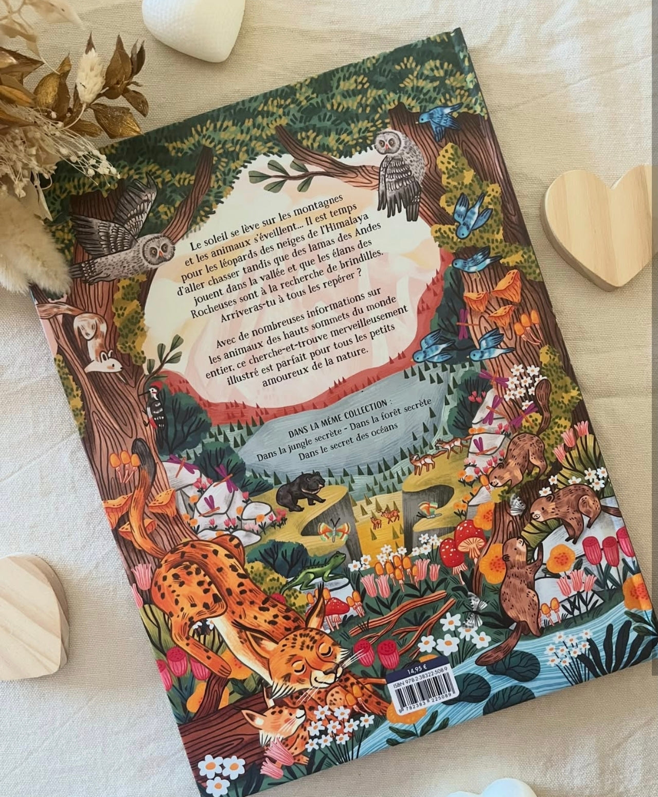 Livre - Dans les montagnes secrète - Kimane