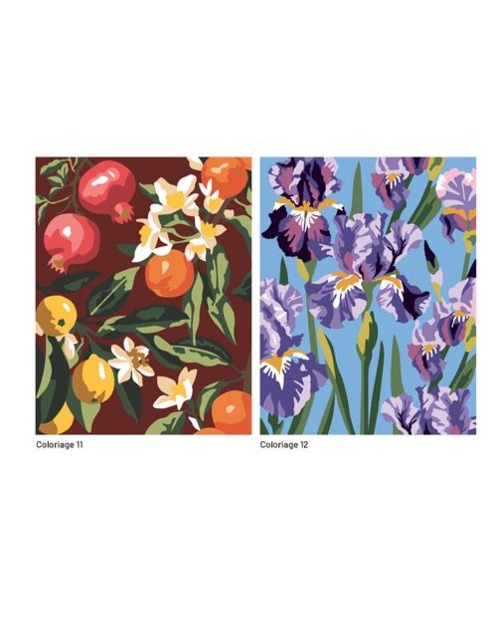Coloriage au numéro - Fleurs et Fruits - Solar