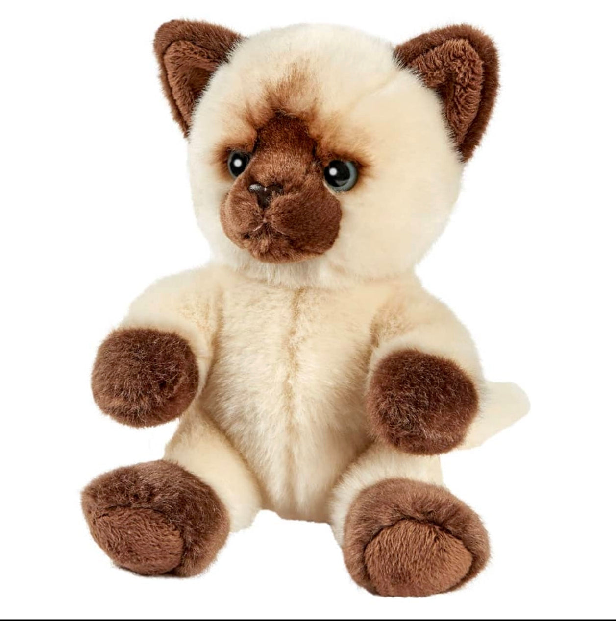 Peluche Tetabizous - Chat Siamois - Anima