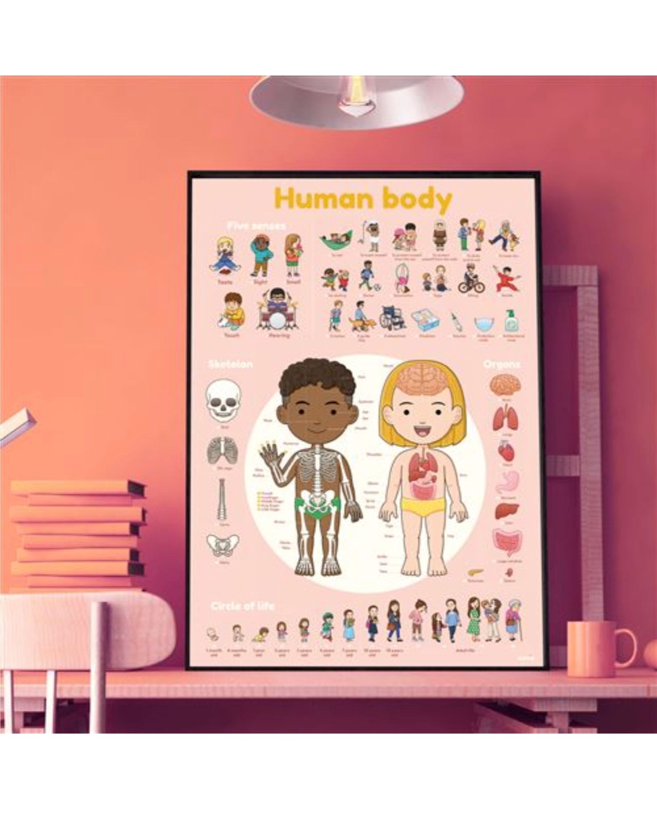 Poster et stickers - Corps Humain - Poppik