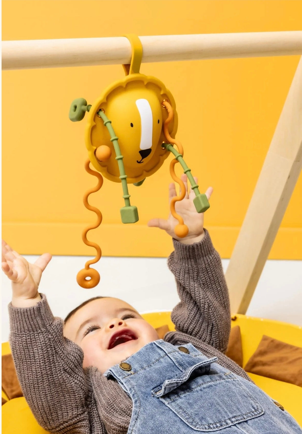 Jouets sensoriel en silicone - Mr Lion - Trixie