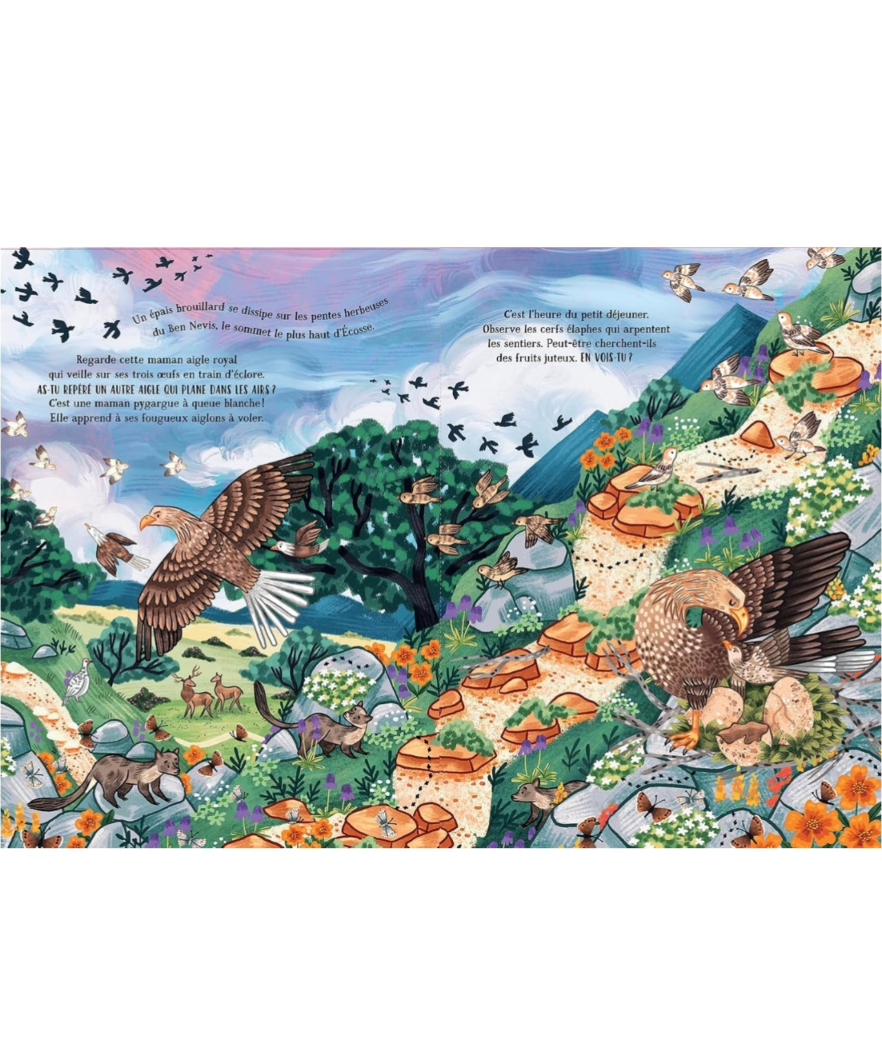 Livre - Dans les montagnes secrète - Kimane