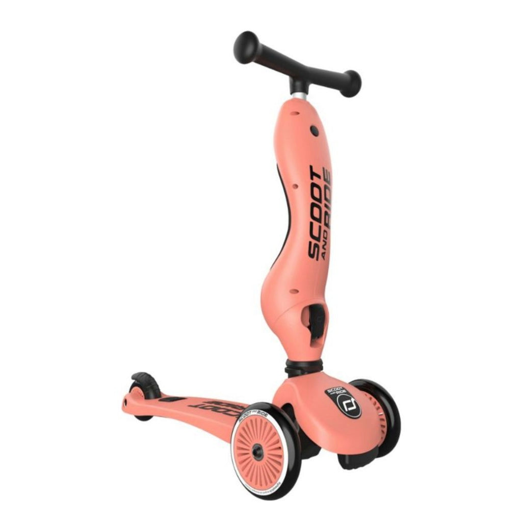 Trottinette évolutive - Pêche - Scoot & Ride