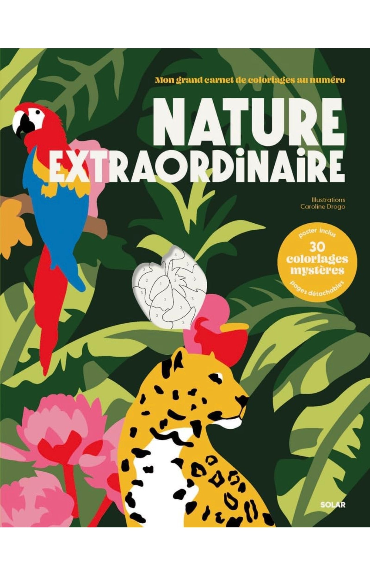 Coloriage au numéro - Nature extraordinaire - Solar