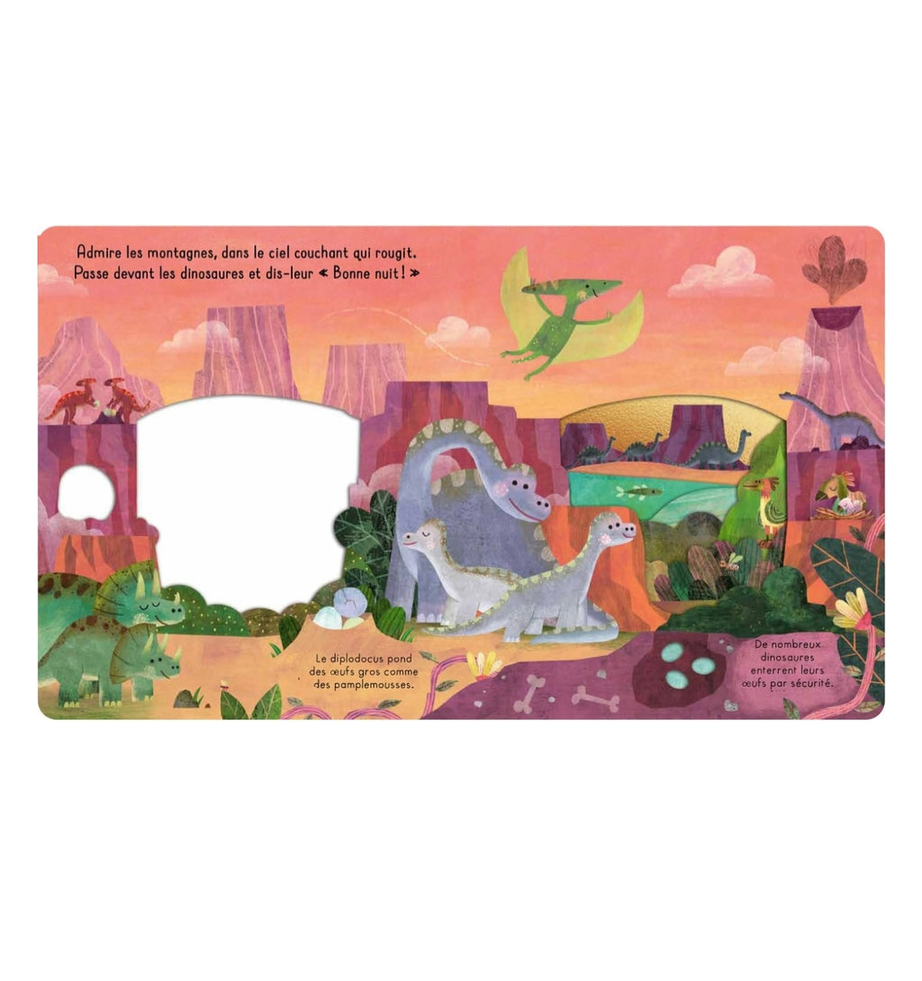 Livre - Bonne nuit les dinosaures - Kimane