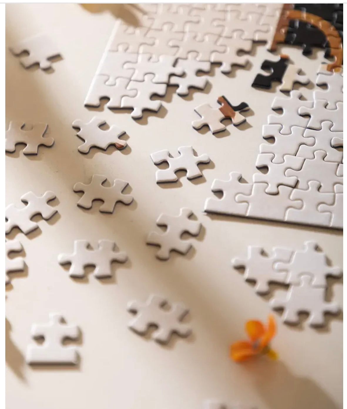Puzzle 1000 pièces - Parisian Door -  ATWS