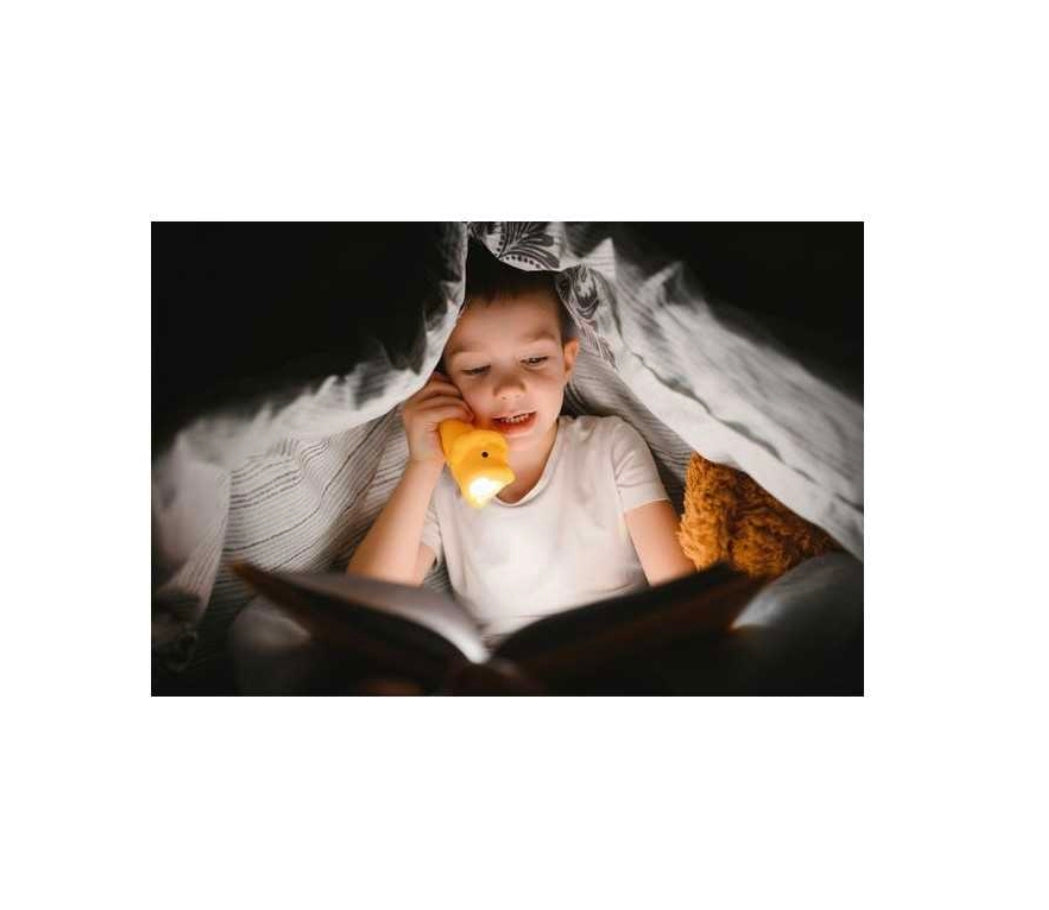 Lampe de poche - Lion - Little L